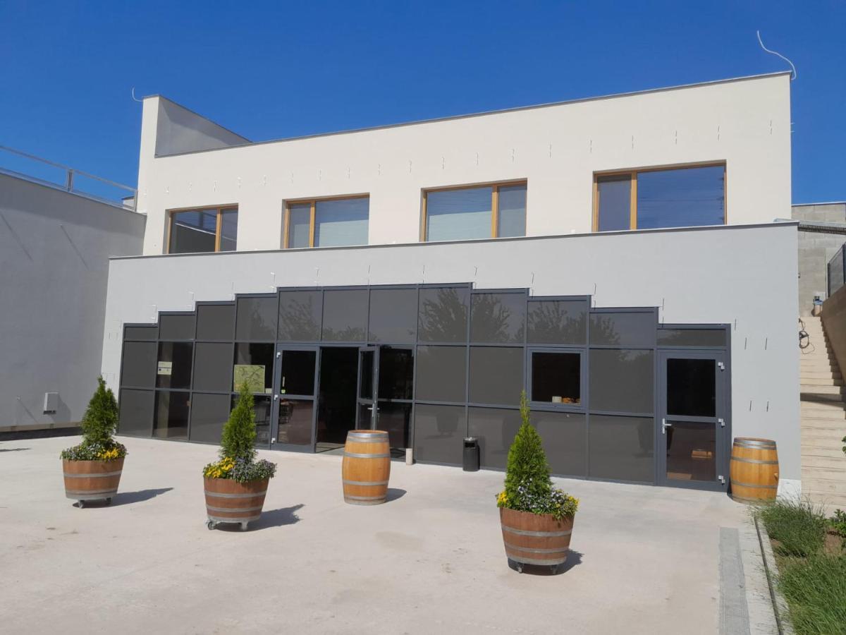 Pension Vinarstvi Klucov Esterno foto